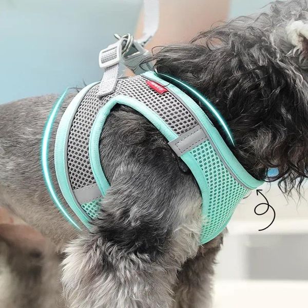 Abbigliamento per cani Regolabile Riflettente Vestino Vestino Vestino Cucciolo Collari Corta per cognome per animali domestici da esterno.