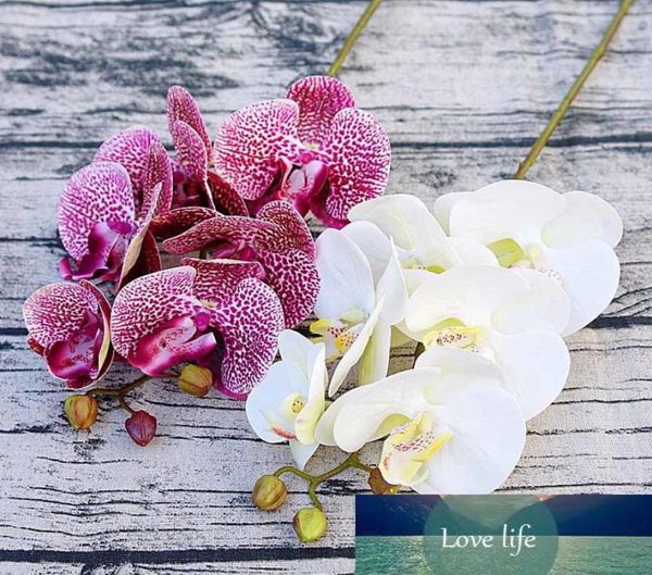 Simulazione 3D Piccola farfalla Orchidea 6 Headsbundle Fino Flower Home Drapie Muro Decorazione del matrimonio Falaenopsis artificiale fai -da -te falaenopsis8647109