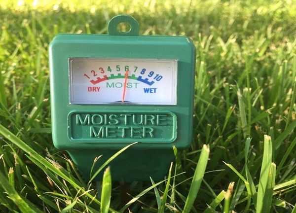 Gartenpflanze Feuchtigkeit Hygrometer -Probe -Bewässerungstest für Experiment im Innenraum Außenmesser Analysator Detektor 7906318