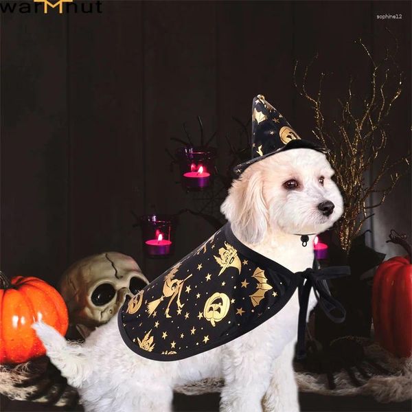 Hundekleidung Warmhut Brand Cosplay Kostüm Set Haustier Halloween Zauberer Umhang Witzer für Welpen Hunde S M L Größe Optional