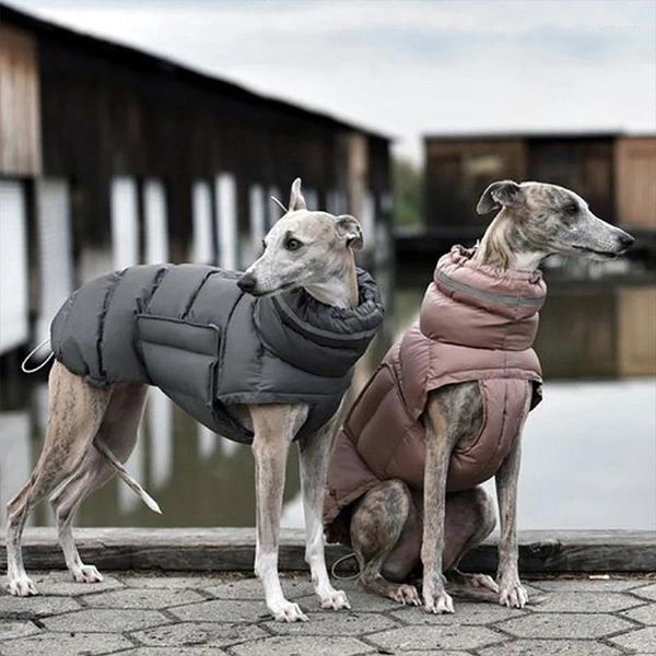 Hundebekleidung große Kleidung Winter dicker warm winddichte wasserdichte reflektierende Haustiermantel für kleine mittelgroße Hunde Jumpsuit Snowcoat insgesamt