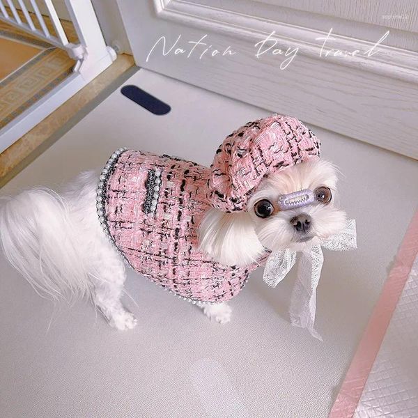 Cappotto abbigliamento per cani calda giacca da pet per pet inverno invernale piccolo mantello con abiti da cappello per cuccioli di doghi medi