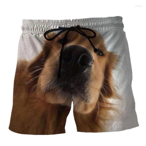 Shorts masculinos cães de animais praia imprimorada 3d para homens crianças verão casual nado troncos de surf swear sweet calça curta solta calças curtas