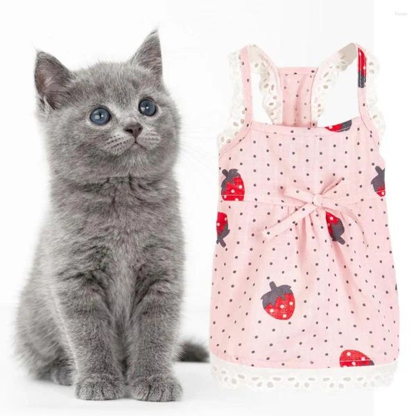 Costumi di gatto abiti da compagnia Modello di frutta Amichevole per la pelle Non irritazione senza maniche lavabile Strawberry Strawberry Summer Stender Skirt