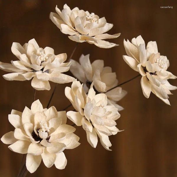 Fiori decorativi 1 pcs vero fiore secco bianco loto ramo asciutto blossom wedding decorazione per casa decorazione fai -da -te per la disposizione floreale fatta a mano festa