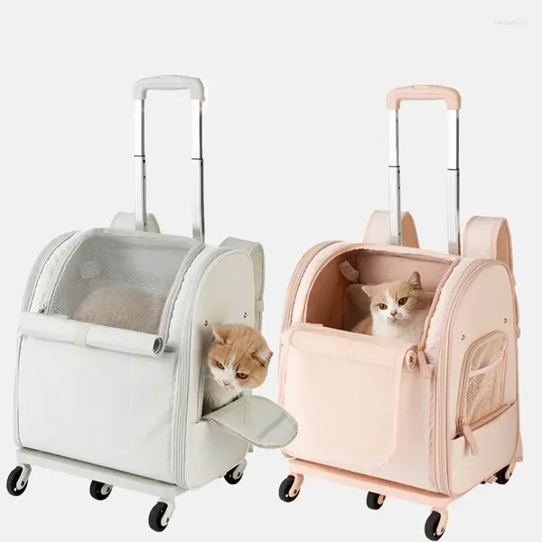 Carrier per gatti Pull Box asta multifunzionale Travel a doppia spalla portatile PET PET PATER