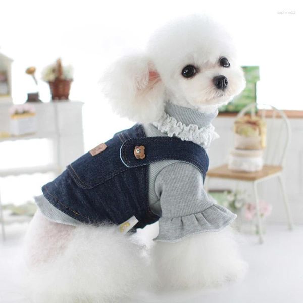 Abbigliamento per cani in denim a maglia vestiti da design a due pezzi Autumn e inverno Fashi