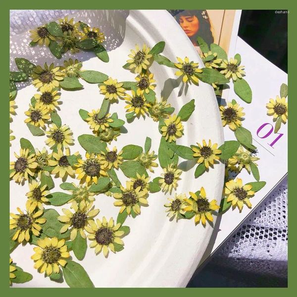 Dekoratif Çiçekler 60 PCS Preslenmiş Kurutulmuş Mini 1-2cm Ayçiçeği Bitki Mücevher Kartpostal Davetiye HERBARIUM