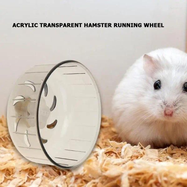 Transportadores de gatos hamster rodas de corrida transparente em corrida de rodas em esteira silenciosa suprimentos de estimação pequenos 2024