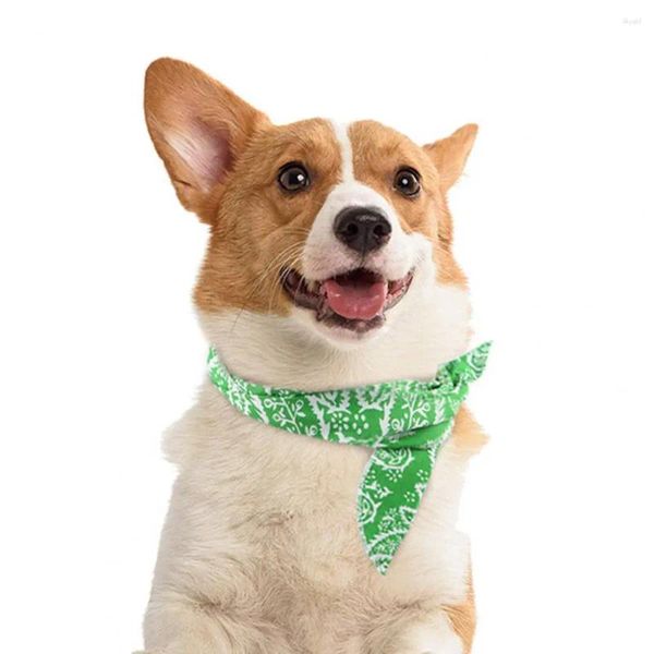 Vestuário de cachorro bandana lenço de gelo de estimação ajustável para cães gatos ficam clima com colarinho leve babador verão presente peludo