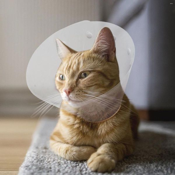 Hundebekleidung Elizabeth Circle Cat Cone Kätzchen Welpen Spielzeug Erholungskragen für Haustier Wundheilungshals