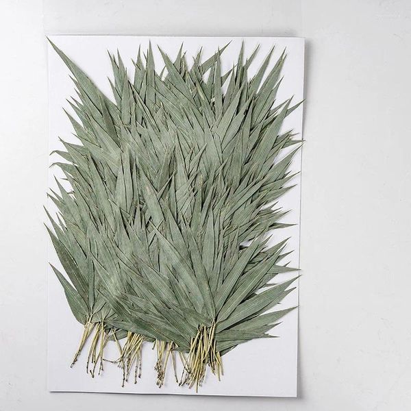 Dekorative Blumen 120pcs gepresst getrocknete Blume Bambusblatt Pflanzen Herbarium für Nagelkunst Schmuck Lesezeichen Telefonhülle Einladung DIY DIY