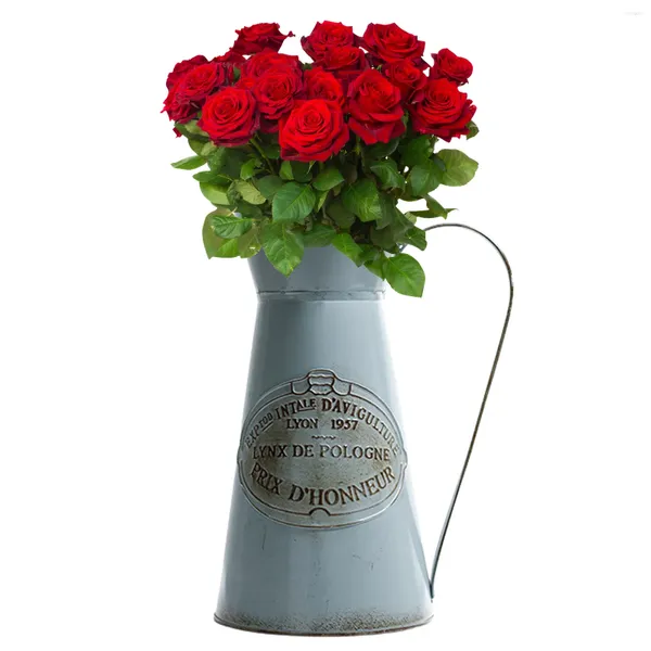 Vasi Vintage in stile vaso di fiori in metallo Finitura zincata Jug rustica per decorazioni da giardino soggiorno