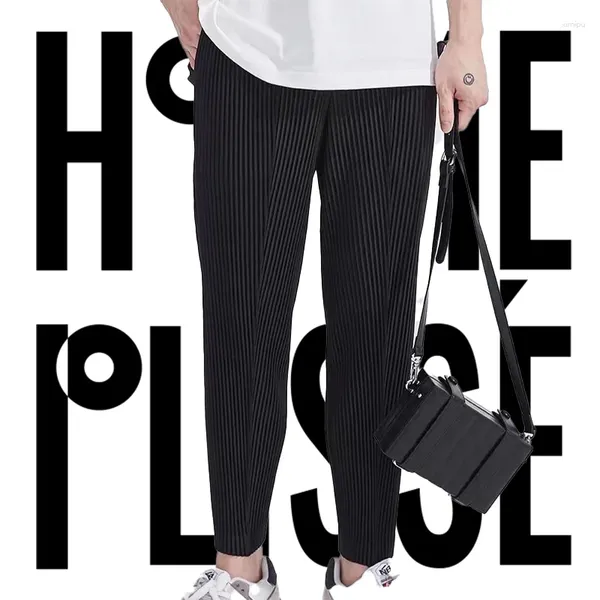 Herrenhose Miyake Plisse