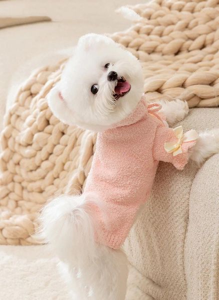 Abbigliamento per cani autunno e donna invernale in stile principessa piccolo maglione a maglia per animali domestici caldi per animali domestici
