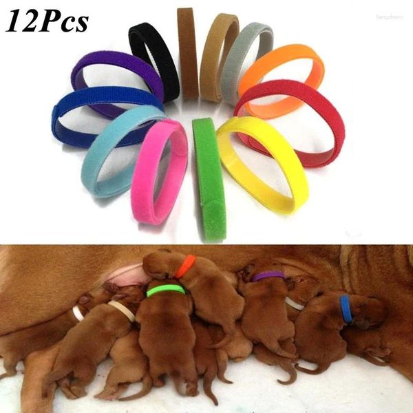 Colarinhos de cachorro 12 pcs/conjunto de cachorro de colarinho de estimação nascido Identificar um colar de gatinho de nylon ajustável Whelping