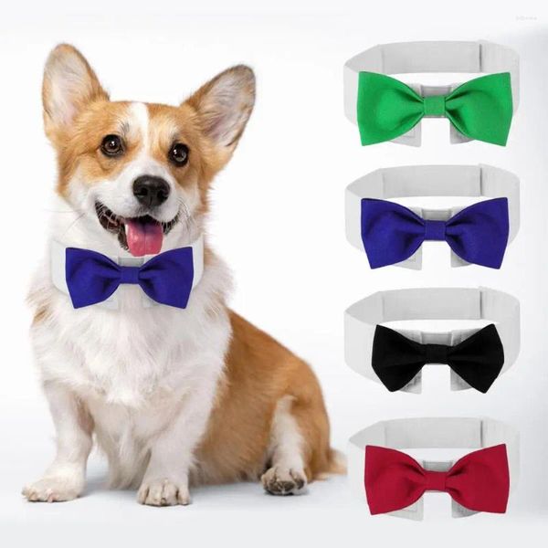 Hundekleidung Dress-up helle Farbe Haustier Welpe Bowknot Neck Circle Supplies