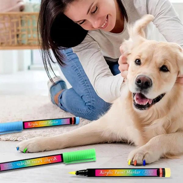 Köpek Giyim Pet Tırnak Tasarım Kalemi Cilgi Fırça Sanat Seti 12 Renkler Puppy Cat Diy manikür için hızlı kuru