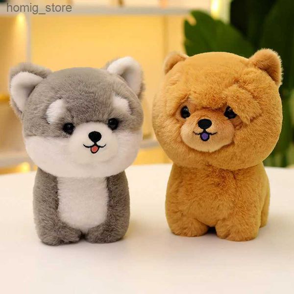 Dolls de pelúcia de cachorro de animal simulado Husky Teddy Kawaii Plexhed Toy Toy Doll Pillow Room Decoration Toy Cute