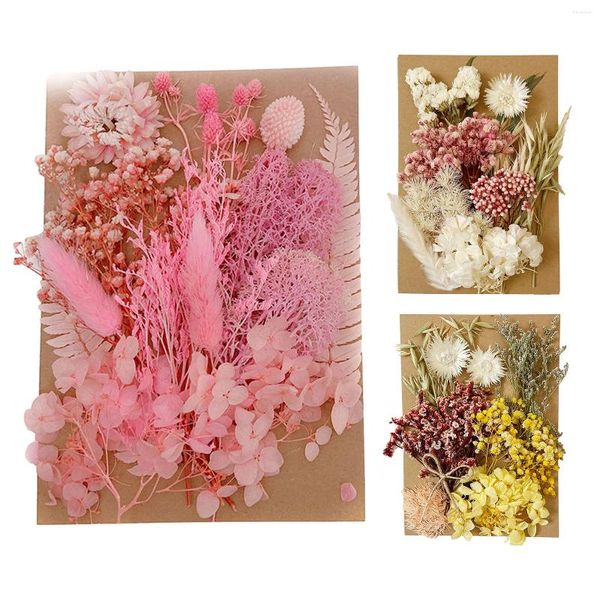 Flores decorativas 1 PCS Resina seca adesivos de flores naturais Decalques de beleza seca para DIY Epóxi encheu Jóias Decorações de Arte Supplies