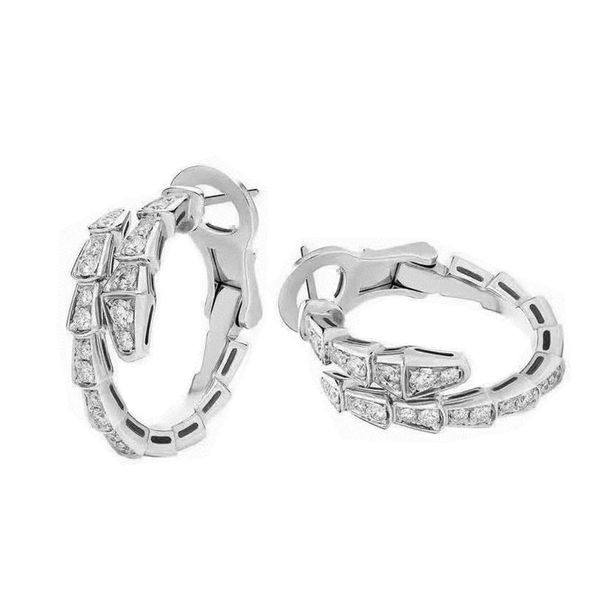 Designer di lusso Geometria Hoops Serpente Orecchie Orecchie in acciaio inossidabile in acciaio inossidabile 18K Orecchini a cerchio d'argento a cerchio d'argento Donnetto Donnetto a cerchio multi colore