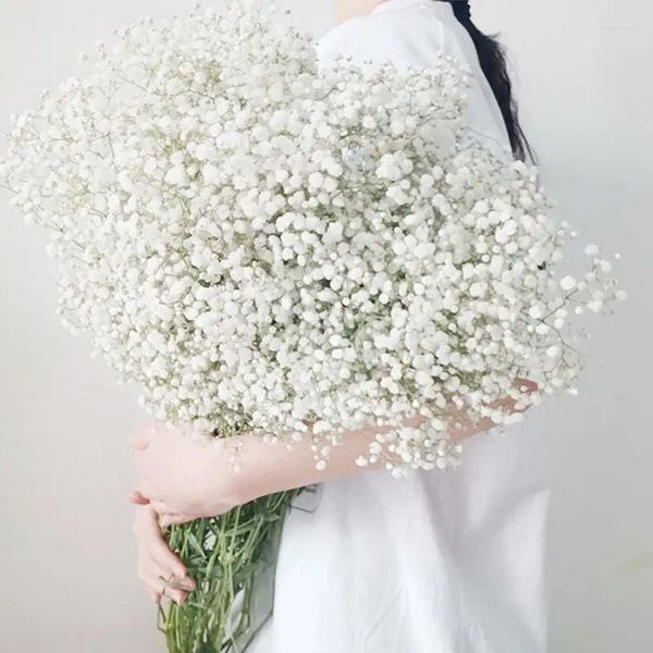 Flores decorativas 150g Big Bouquet seco Babysbysbreath Gypsophila Paniculata para decoração de festa de casamento