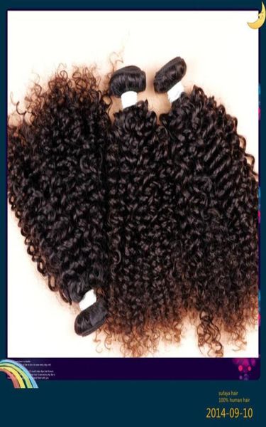 Estensioni dei capelli umani brasiliani Extensions Deep Kinky Curl CHEFT Nero colore nero colore tyeable Grade 6A Capelli da 6A 100G One Bundle5885725