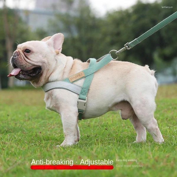 Collari per cani guinzaglio petto petto cinghia medio e grande combattimento dorato retriever a piedi accessori per corda