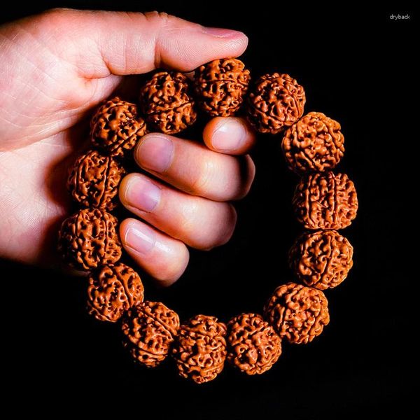 Strand Cool Rudraksha Vajra Bodhi Meditasyon Bilezik Ağacı Tohumları Zincir Elastik Bilek Bandı Barış Meditatif ve Neşeli Şanslı Hediye