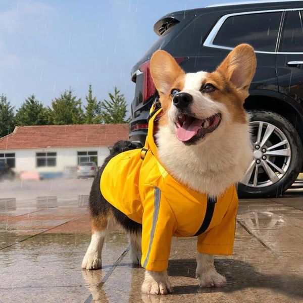 Aparel de cachorro aconchegante capa de chuva com anel de tração PET PET AJUSTÁVEL FIGULA PONGPY CANELA DE CAVIE