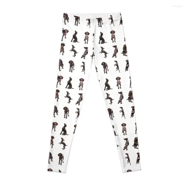 Aktive Hosen Deutsche Kurzhaarzeiger Collage Leggings Frauen -Fitnessstudio für Fitness Sportbekleidung Frauen Sport Frauen