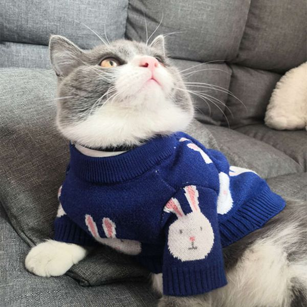 Süt Kedi Köpek Sevimli Küçük Beyaz Tavşan Sweater Teddy Bomei Fadou Sonbahar ve Kış Evcil Hayvan Sıcak Kıyafetleri