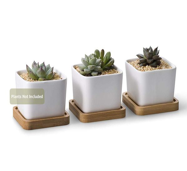 Projeto quadrado de cerâmica de cerâmica branca Design suculento Potcactus Plant Pot com bandeja de bambu4259365