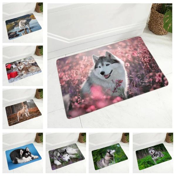 Teppiche Lustige Siberian Husky Hund Flanell Teppichbodenmatte für Flur Schlafzimmer 40x60 cm Rugtor Tür Nicht-Schlupf-Dekor Tier Tier Fußmatte