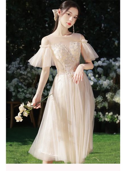 Elegante Hochzeitsschwester Brautjungfer Kleid Abschluss Chor Performance Pailletten gestickt Promi -Party Abschlussball 240416