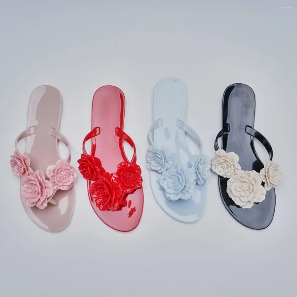 Sandali di alta qualità estate femminile camelia donne brasiliane brasiliane flat show shops flip flops Beach Female Female