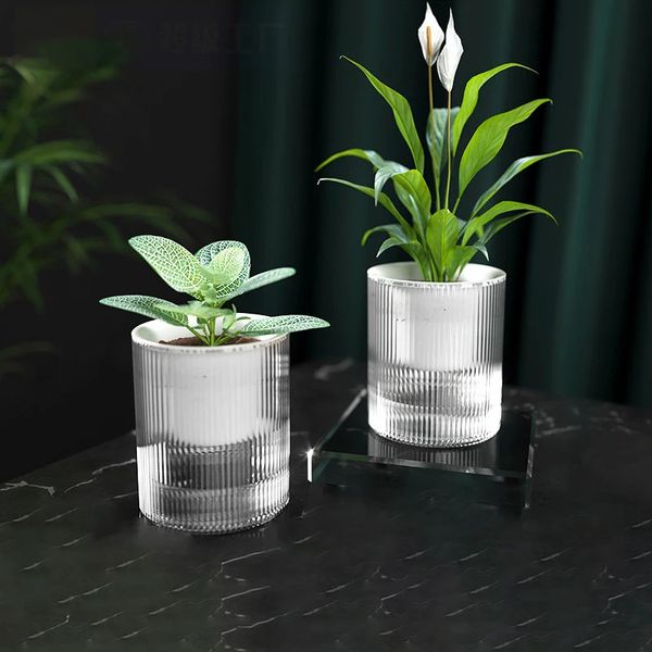 Auto -rega de flor Plantas hidropônicas suculentas de flor de flor interior Pote mini vasos de peixe tanque de peixe comprimido panela de flores em casa decoração 240409