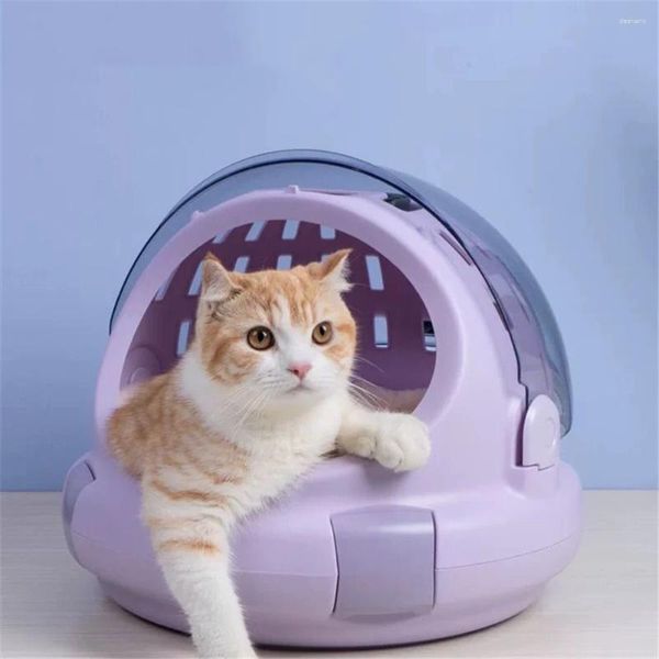 Transportadores de gatos Pet transparente transparente cão cão cachorrinho caixa portátil caixa de bolsa externa viagens de gatinho ninho de espaço multifuncional