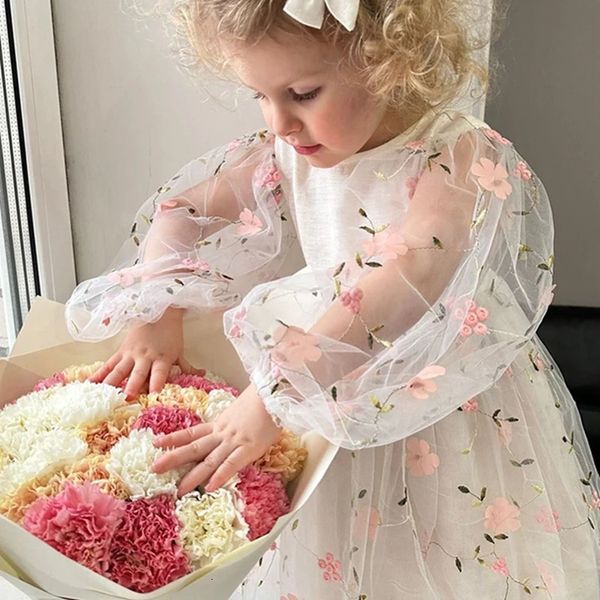 Tregren criança bebê garotas de vestido fofo de manga longa Bordado de tule princesa com faixa para a festa de aniversário diariamente 240413