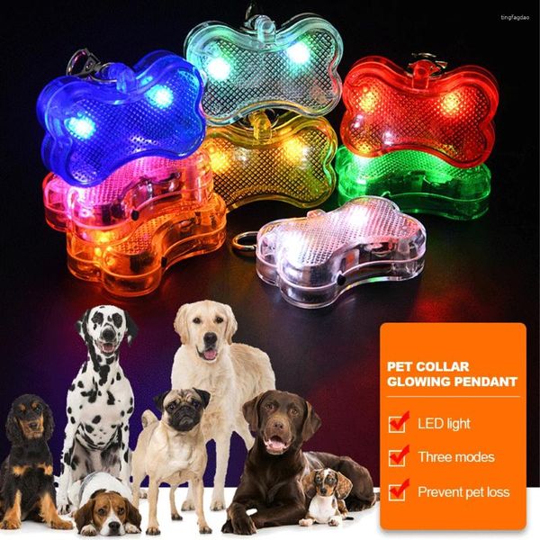 Colarinho de cachorro colarinho de cachorro pingente brilhante pendente noturno de animal de estimação Aviso leve de segurança luminosa luminosa luzes de caminhada ao ar livre