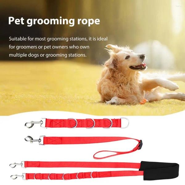 Kit regolabile per la corda per toelettatura dell'abbigliamento per cani con forniture per bagni per il bagno per cinghia di estensione multifunzionale per animali domestici