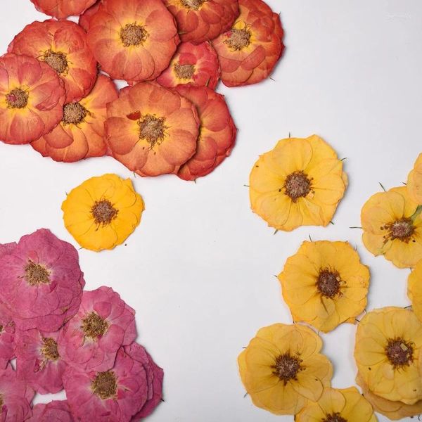 Fiori decorativi 3-4 cm/12 pezzi True petali di fiori pressati con testa di rosa petali fai da te tazza di colla a goccia di nozze Invito di nozze Pianta di segnalibri