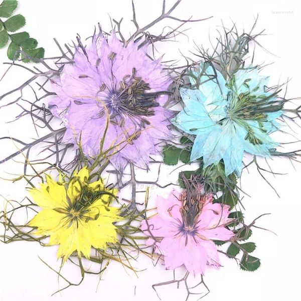 Fiori decorativi Love in una nebbia arrangiamenti floreali pressati 8 colori per bambini regali per artigianato 120 pezzi