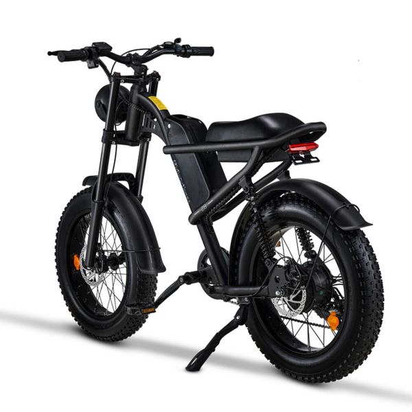 Elektro velosiped 20 Zoll 48 V 500W Fatbike Z8 Lady Electric Fahrrad mit voller Federung