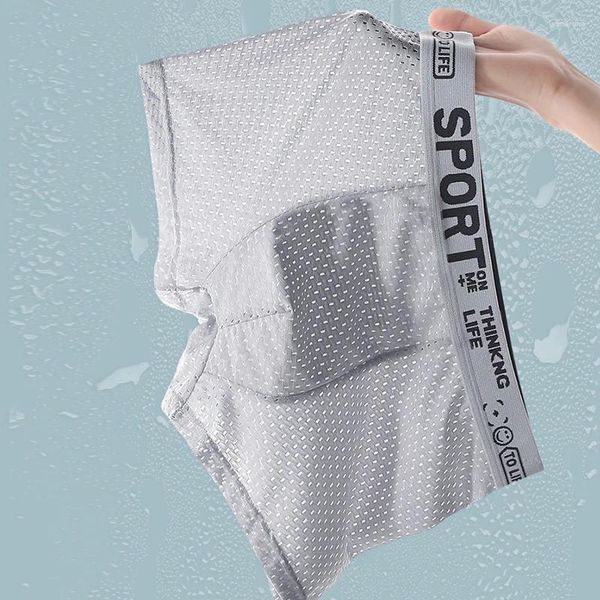 Unterhose Herren Hombre Hole Höschen Unterwäsche Boxershorts atmungsaktive männliche Boxer -Briefs Shorts Sexy Elefant Sport Dessous Dessous