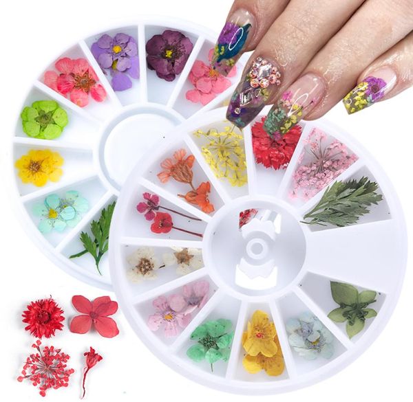 12 Typen 3d getrocknete Blüten Nagelkunst Dekoration DIY Schönheit Blütenblätter Aufkleber Trocken Blütengel Polnische Accessoires1380133