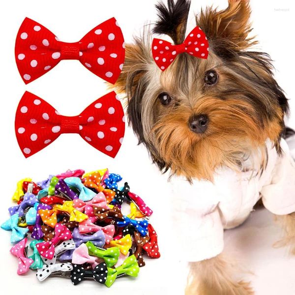 Vestuário para cães 40pcs arcos a granel acessórios de cabelo animais de estimação clipes de helicóptero dot gato penteado garotas barrette para cães pequenos suprimentos