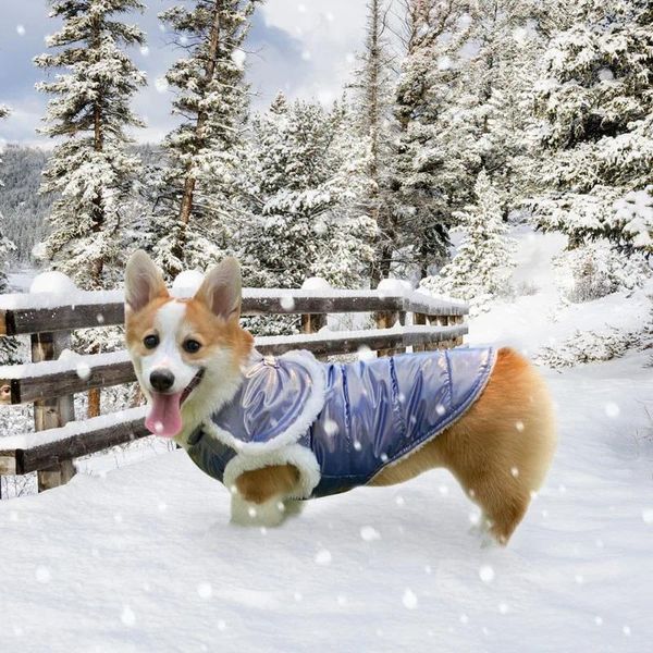 Köpek Giyim Sıcak Kış Ceket Yelek Rüzgar Yalıtım Köpekleri Ceket Kalın Evcil Hayvan Giysileri Küçük Büyük İçin Su Geçirmez Kıyafet