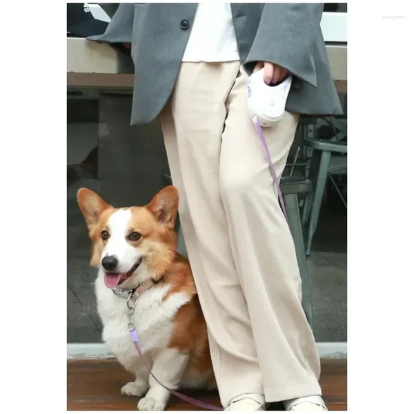Abbigliamento per cani Automatico estensione del guinzaglio di nylon Premium durevole per animali domestici con lead di corda di trazione prodotti