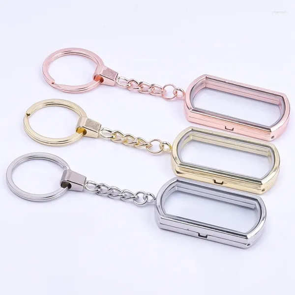 Keychains 10pcs/lotto mix Color Dog Tag Glass Memory Locket Pendant KeyHolder Open Floating Living Po ReliCario Men Gioielli Tornario Bulk